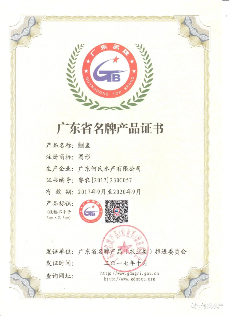 深圳惠州进口巴沙越南巴沙鱼湄公鱼龙利鱼深圳批发厂家，