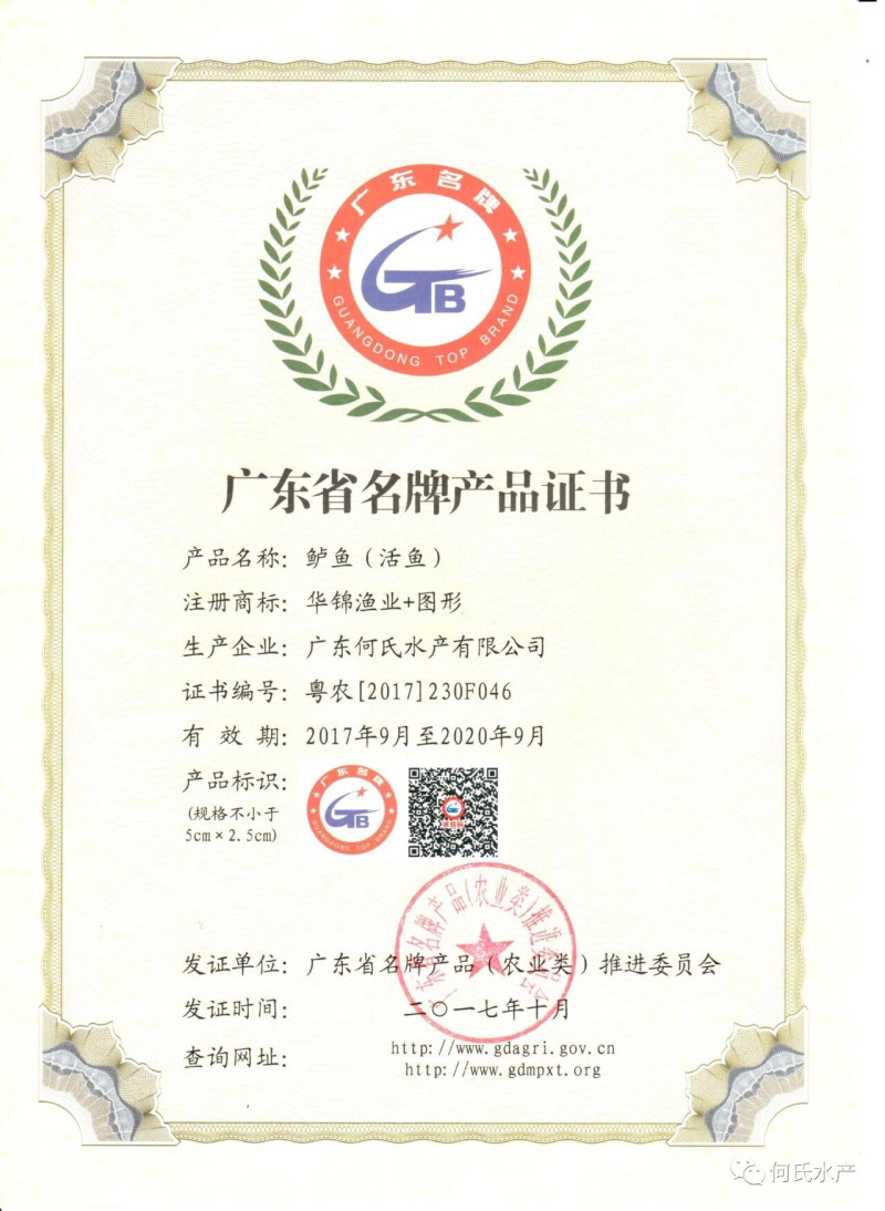 深圳惠州进口巴沙越南巴沙鱼湄公鱼龙利鱼深圳批发厂家，