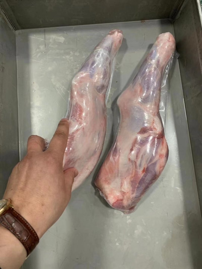 羔羊前腿
