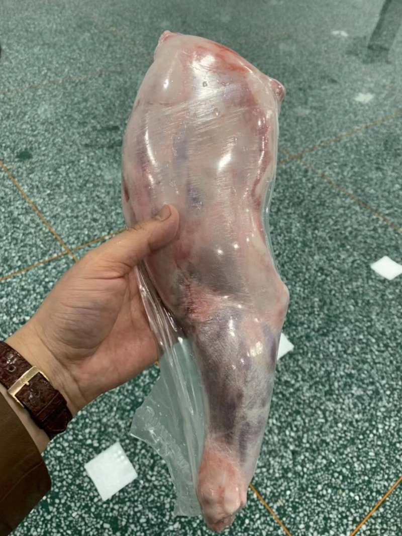 羔羊前腿