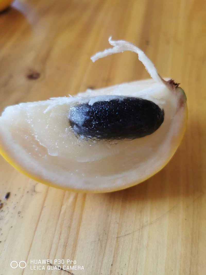 黄晶果6斤顺丰包邮
