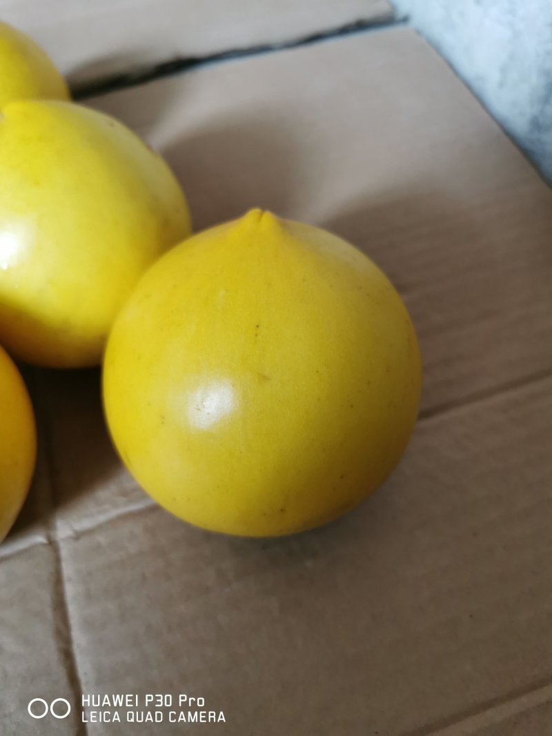 黄晶果6斤顺丰包邮