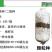 泽海食用菌平菇菌种颗粒种菌种二级种原种接栽培种椴木栽培菌