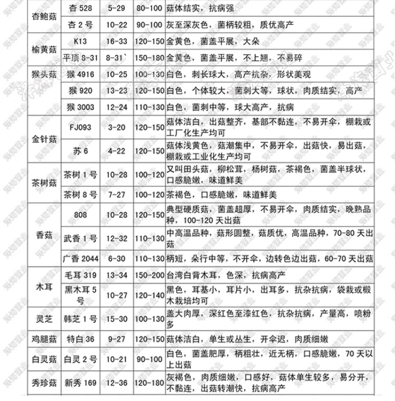 泽海食用菌一级种试管母种颗粒种斜面种平菇高温低温菌种