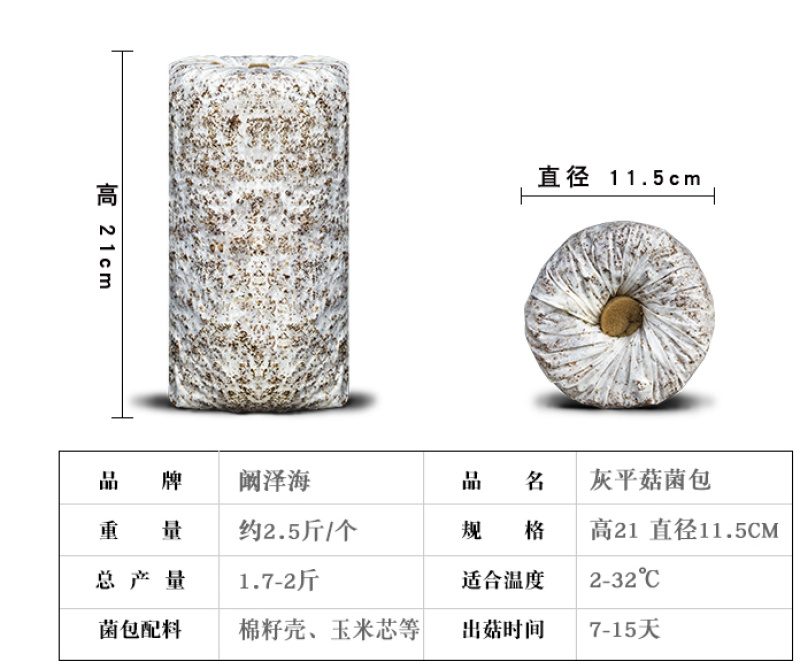 泽海食用菌蘑菇种植包平菇菌包种蘑菇食用菌菌种家庭种植蘑菇