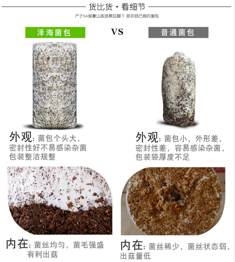 泽海食用菌蘑菇种植包平菇菌包种蘑菇食用菌菌种家庭种植蘑菇