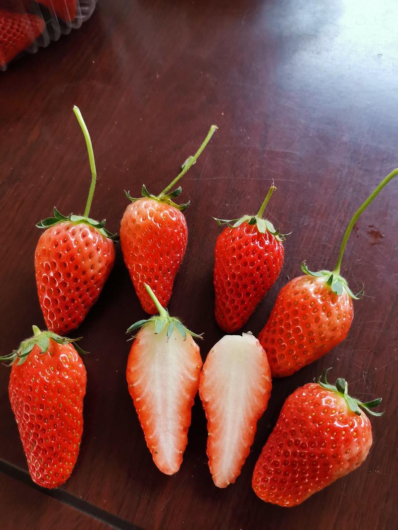 章姬草莓苗优质脱毒苗技术指导现挖现卖