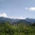 【热卖】九华山灵芝纯野生灵芝2～8公分紫灵芝深山采摘包邮