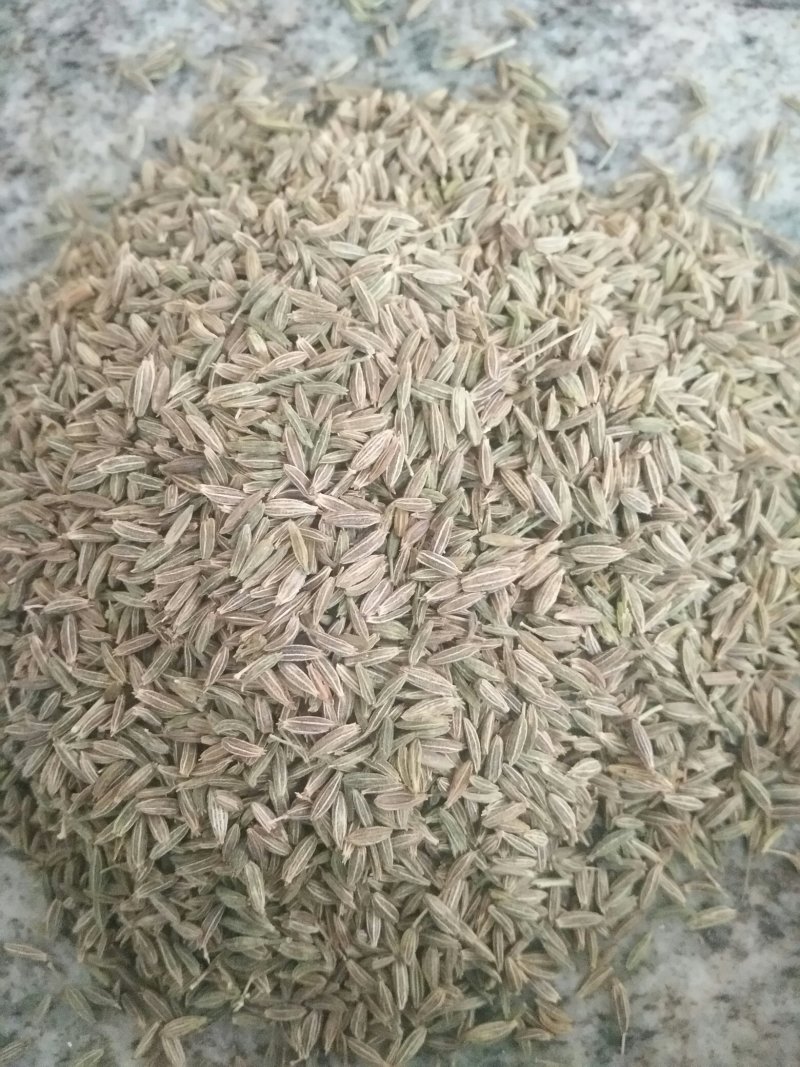 甘肃特绿精品孜然，香味十足