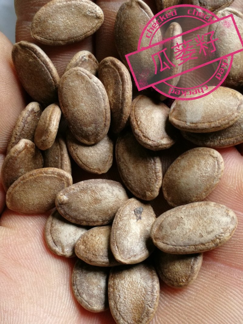 吊瓜籽瓜蒌籽、仓库直供.品优价廉.粒粒精选.颗颗饱满