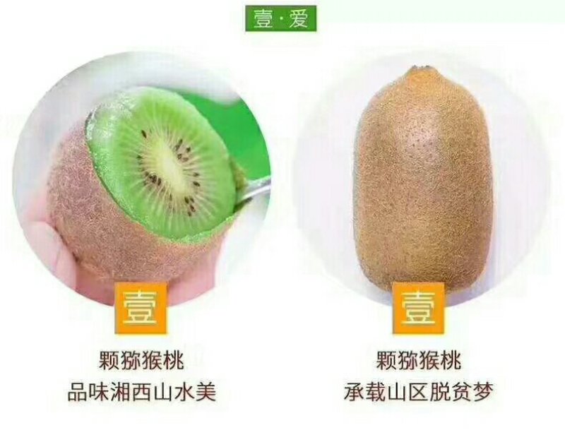绿心猕猴桃