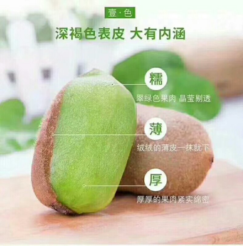 绿心猕猴桃