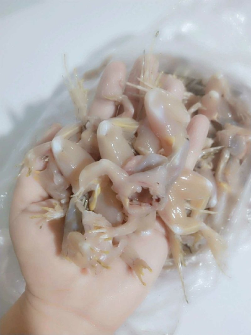 青蛙🐸黑斑蛙青蛙肉田鸡肉童年美味自家养殖，证件齐全