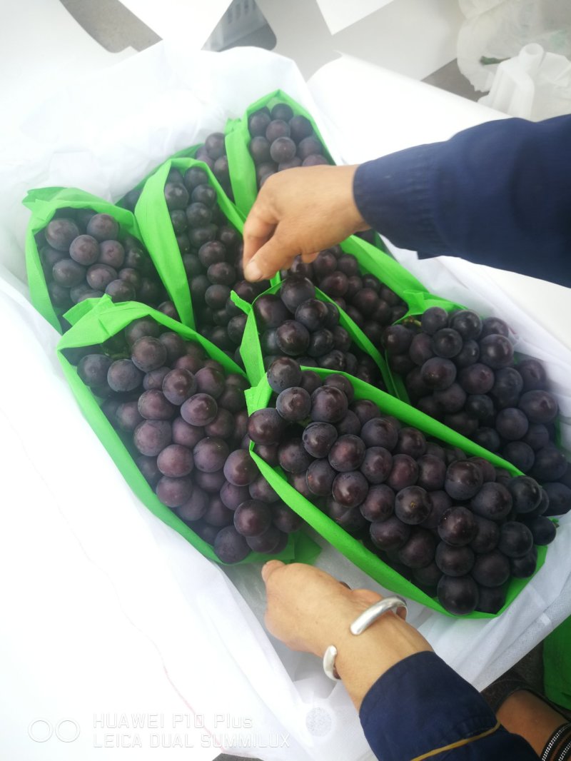 户太八号葡萄已经陆续上市，以品质求生存，以质量求合作。