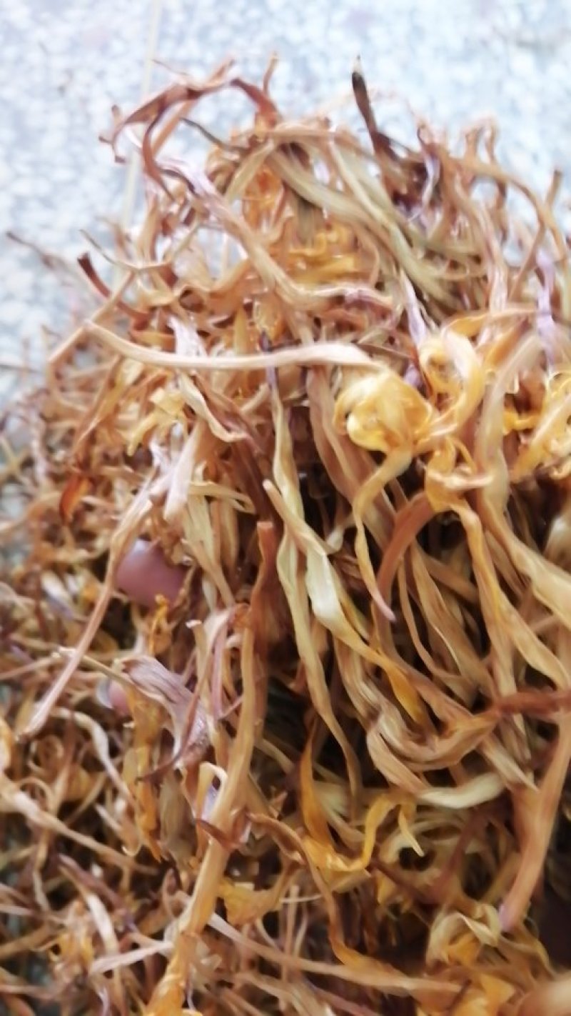 黄菜