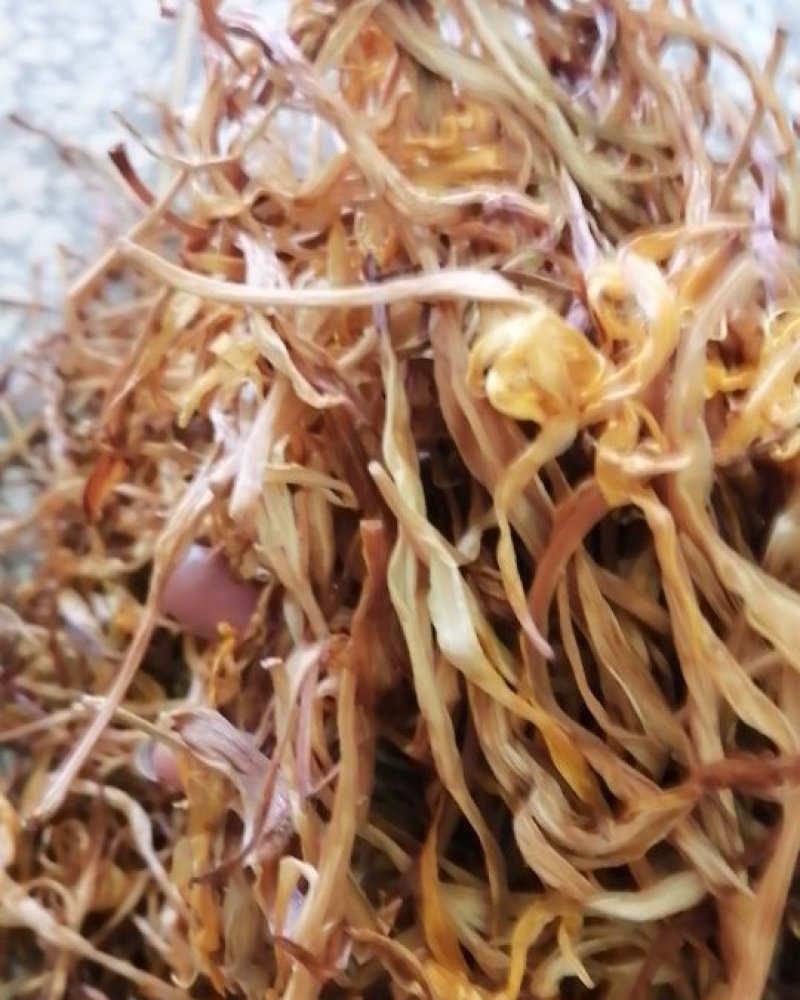 黄菜