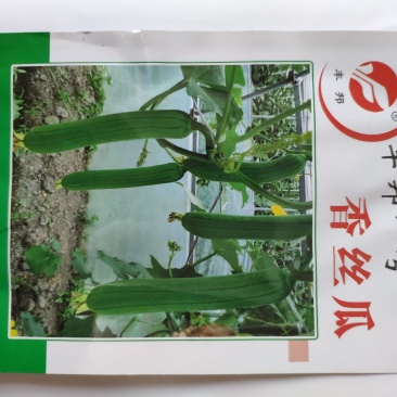 丰邦一号短帮油皮丝瓜种籽原袋发货支持线上交易