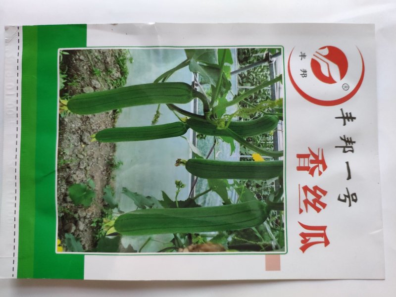 丰邦一号短帮油皮丝瓜种籽原袋发货支持线上交易