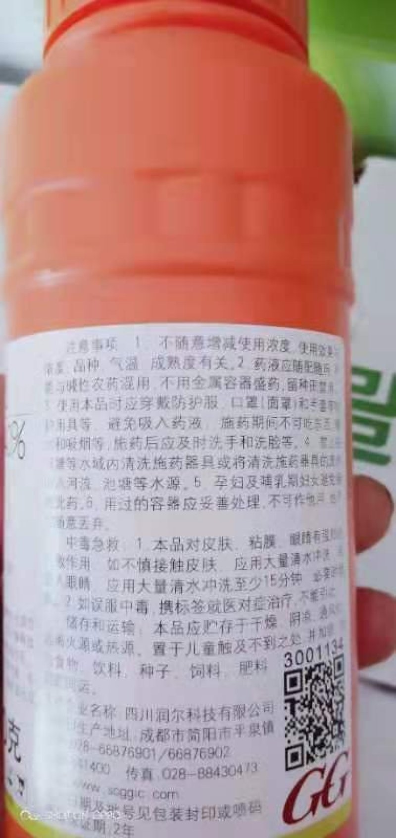 乙烯利葡萄棉花，早成熟、着色好产量高