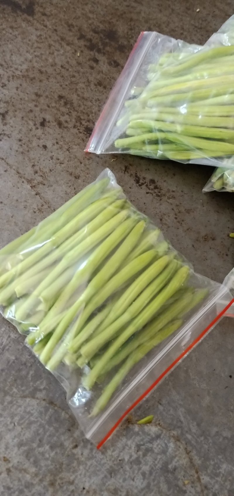 鲜黄花菜