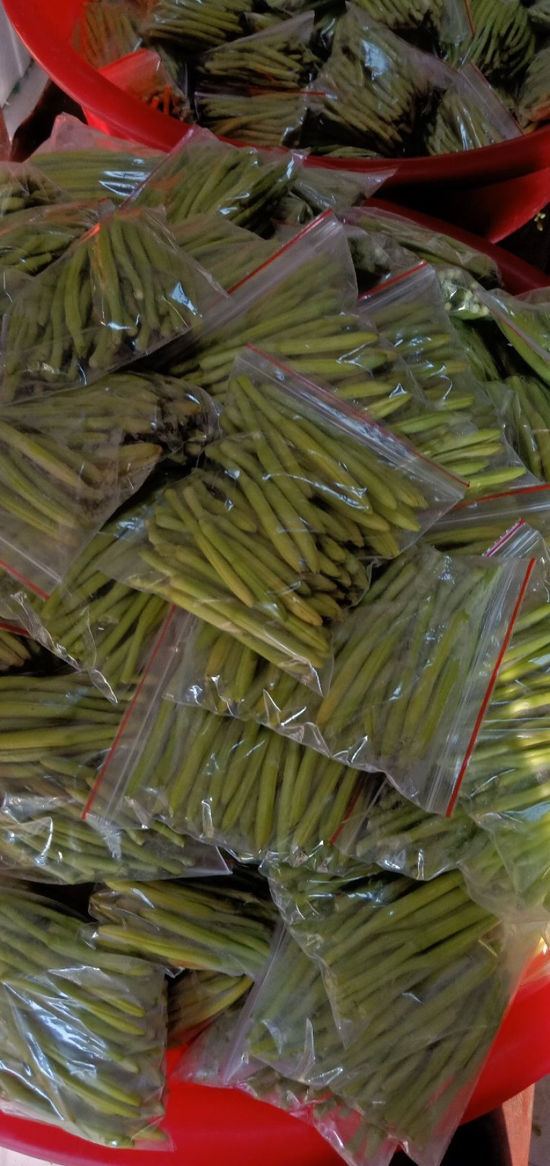 鲜黄花菜