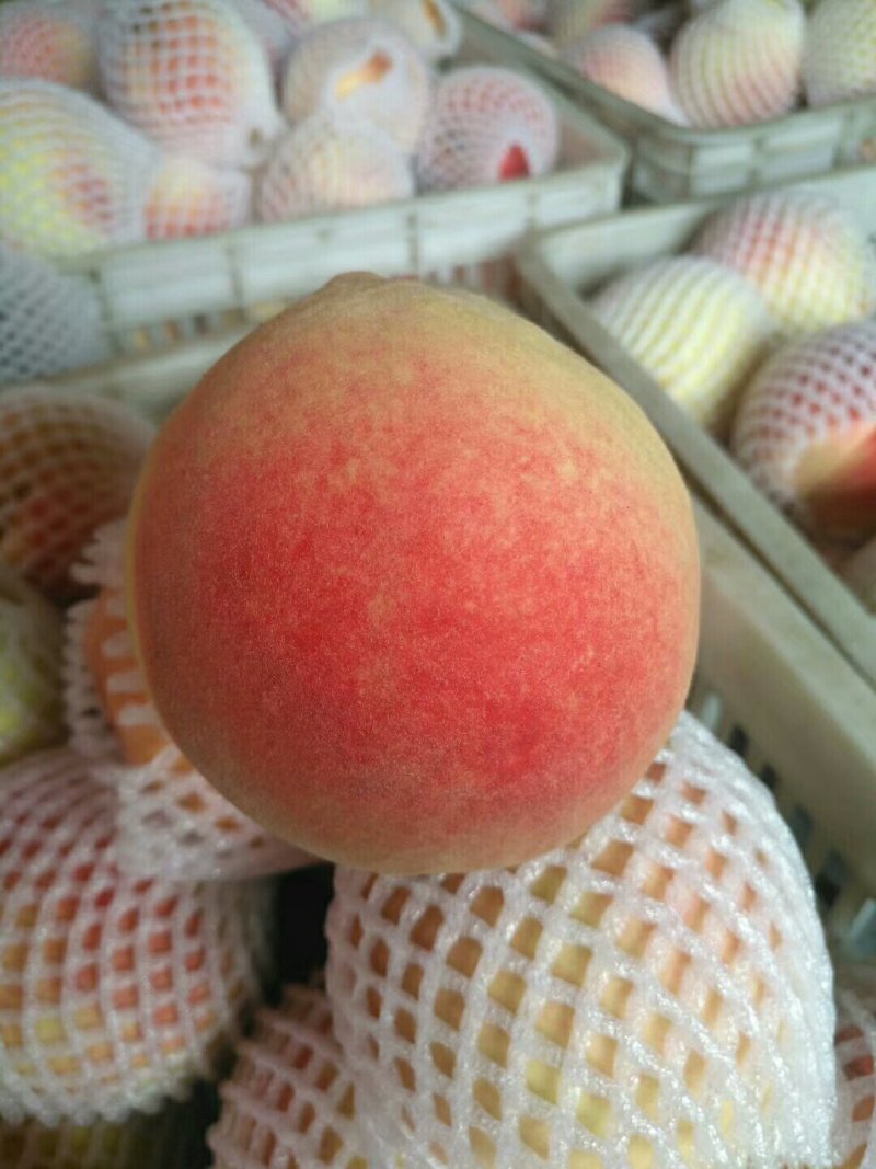 水蜜桃