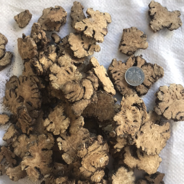 川芎产地直销一件也是批发价各种规格，量大从优。