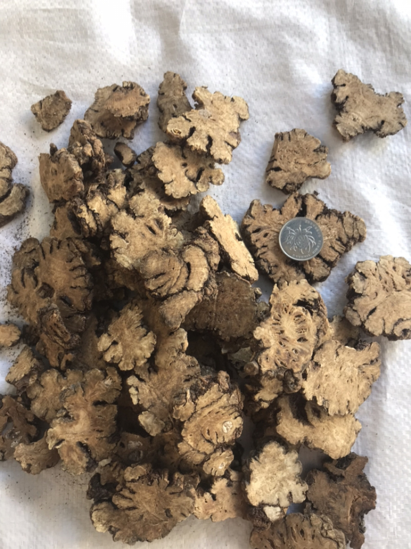 川芎产地直销一件也是批发价各种规格，量大从优。