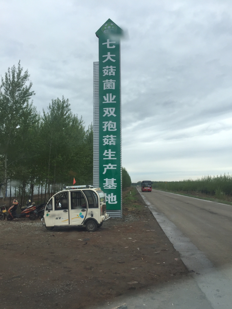 长年出售鲜品。腌制双孢菇