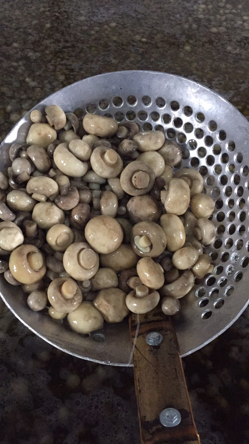 长年出售鲜品。腌制双孢菇