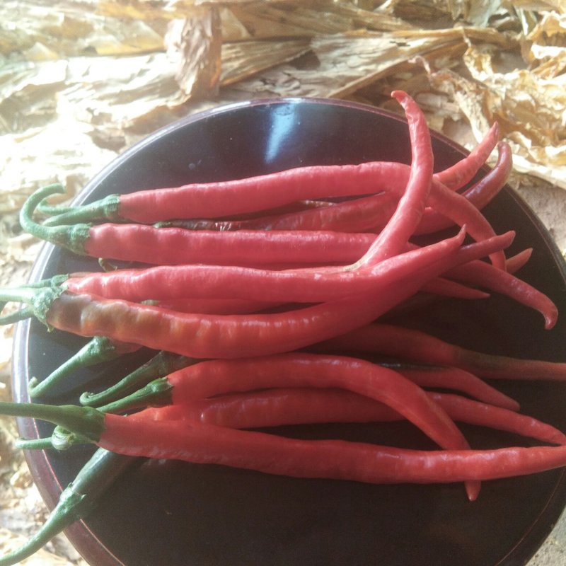 去冒走鲜货都可以