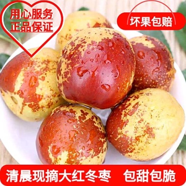 山东沾化冬枣一件代发中通快递包邮，冬枣代收代存
