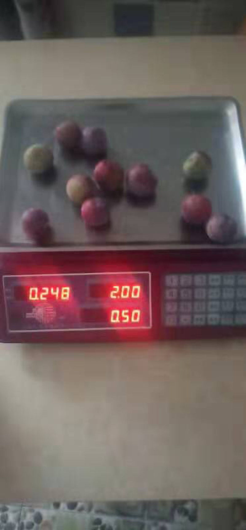 今年的桃子已完了，老板们明年请早。现在的脆红李熟了，