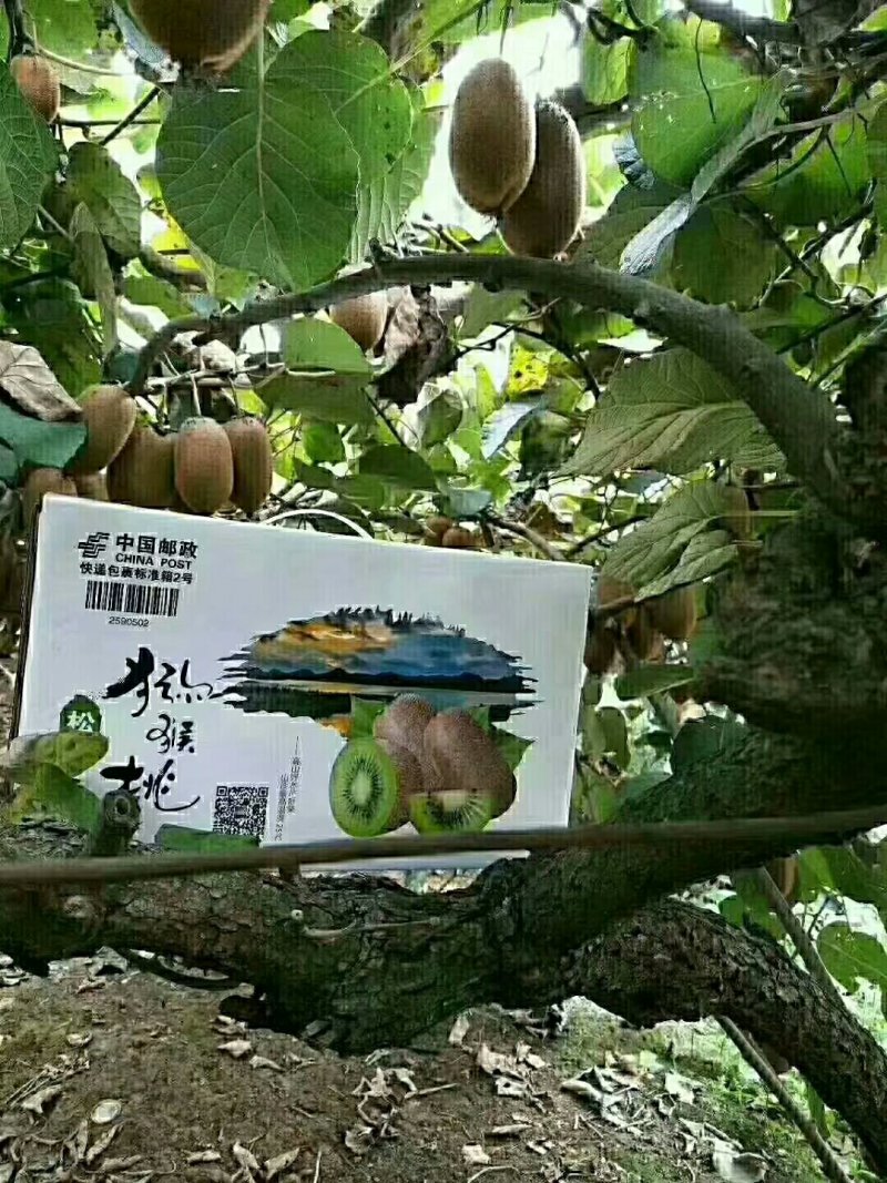 富硒猕猴桃