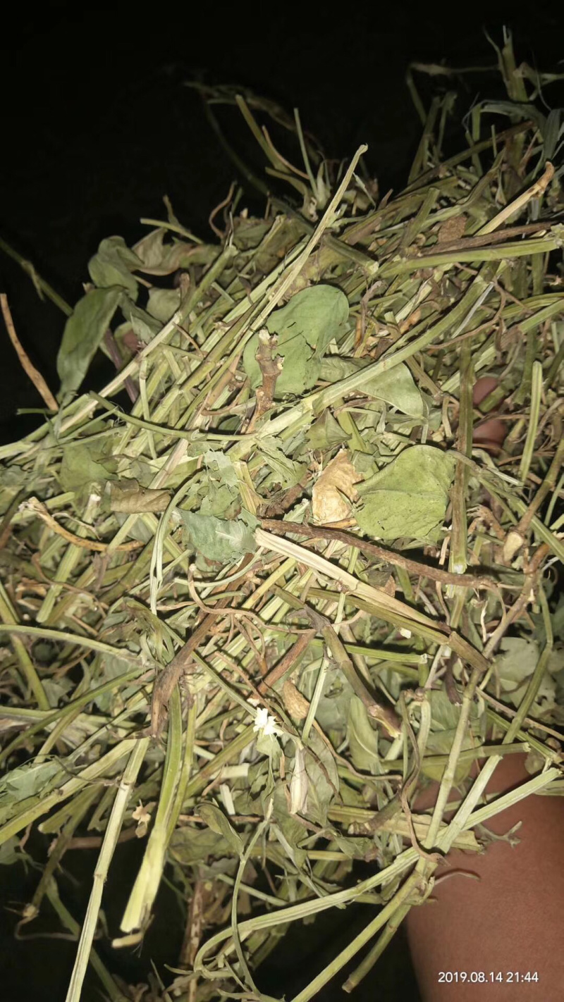 优质花生秧