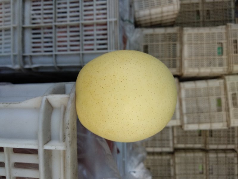 皇冠案