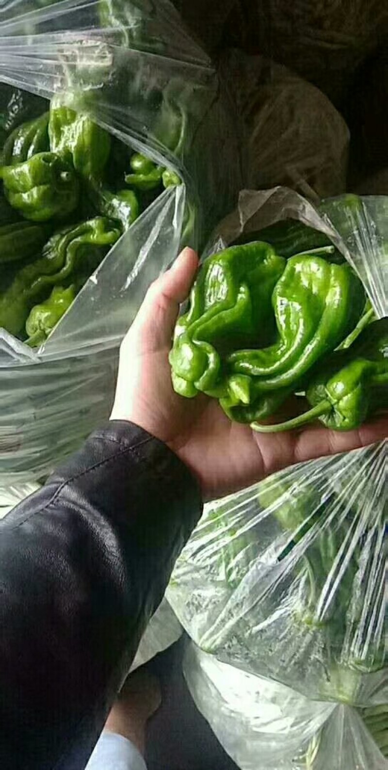 线椒.大青椒