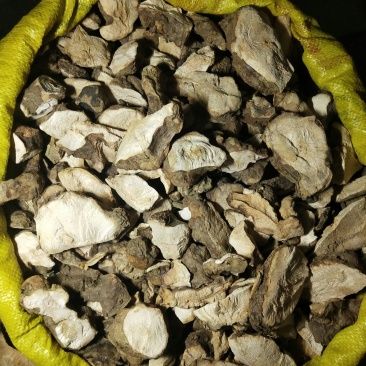 野生土茯苓干片广西货粉质性甜味无硫