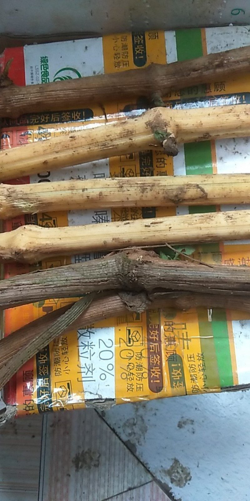 川木通野生高山川木通有圆片和斜片