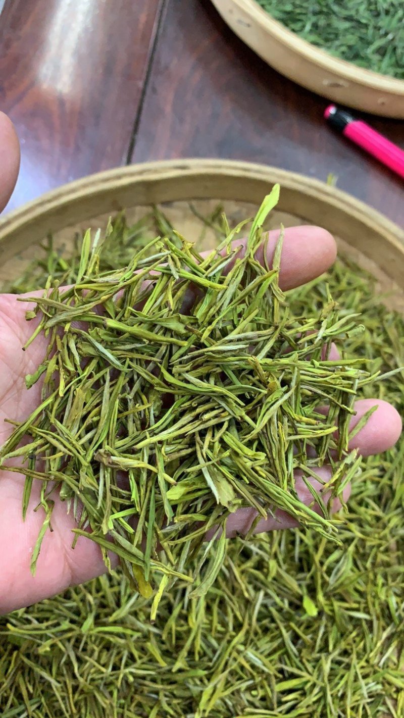 安吉白茶，白茶中的上品，高山黄金芽支持全囯一件代发