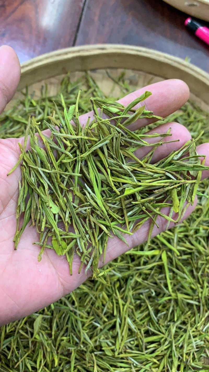 安吉白茶，白茶中的上品，高山黄金芽支持全囯一件代发