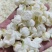 茉莉花茶【九窨金针兰雪】支持全囯一件代发
