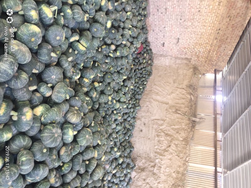 陕北旱地自产自销板栗南瓜