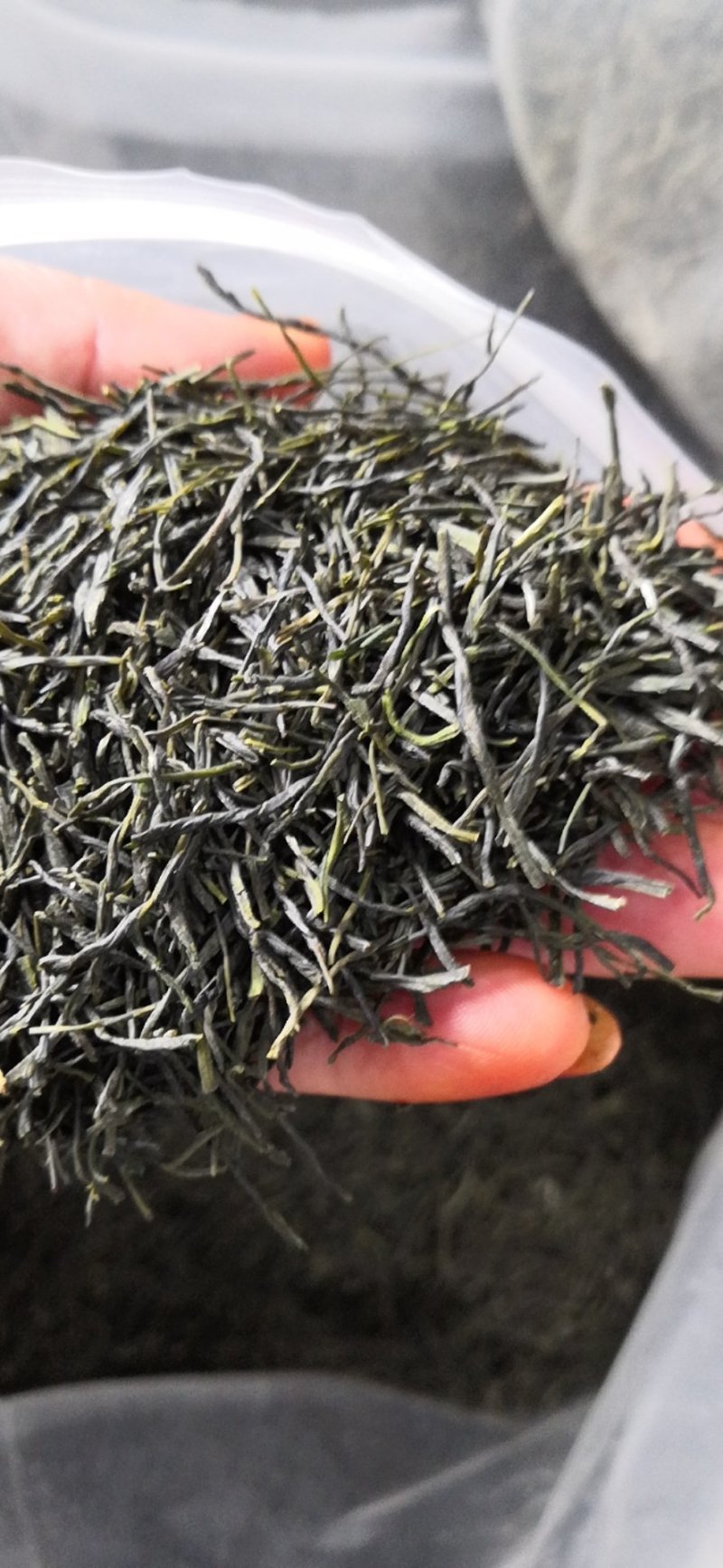 包邮信阳毛尖小芽，口感清香，提神养精，量大从优，全国发货