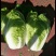 旱地黄心大白菜