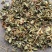 仙鹤草个子或片子