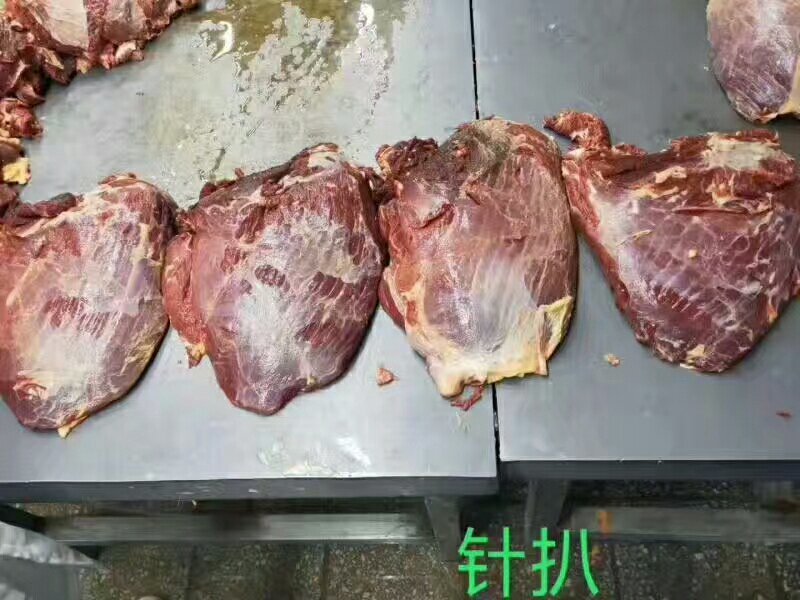 马肉九分体