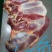 马肉九分体