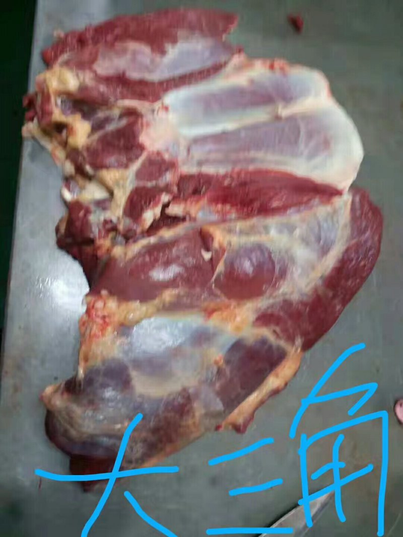 马肉九分体