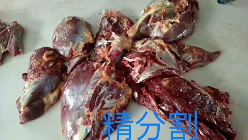 马肉九分体